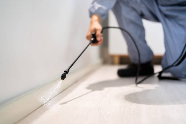 Certified termite inspector examining foundation in Genesee