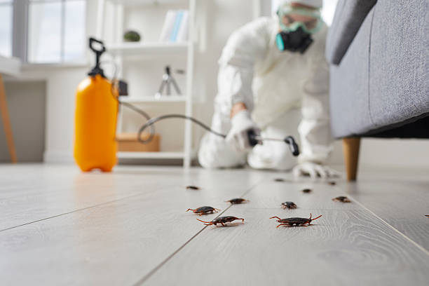Commercial Kitchen Cockroach Control in Genesee